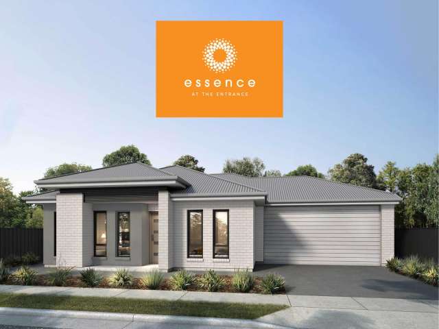 New Release of Essence Homes