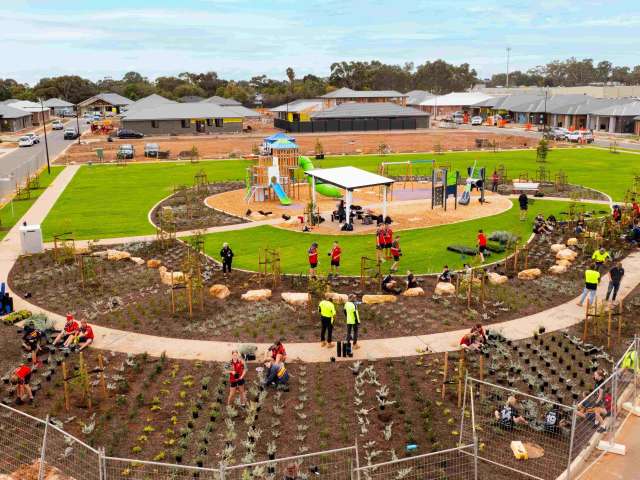 Planting 1500 new plants in our new park at The Entrance